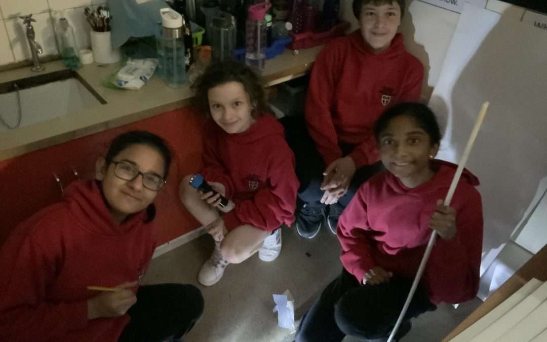 Year 6 – What a busy week!